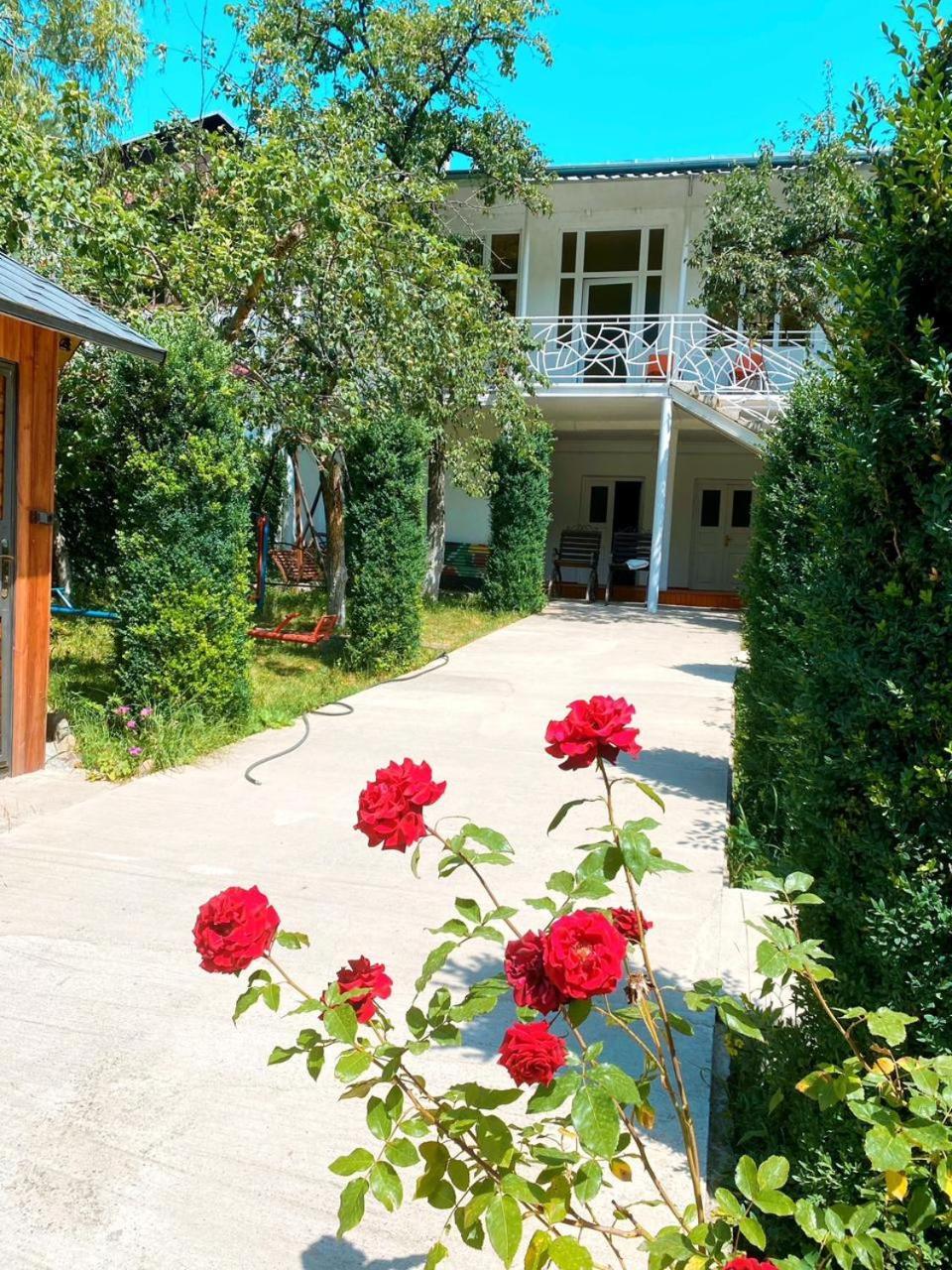 Green Garden Otel Dilican Dış mekan fotoğraf