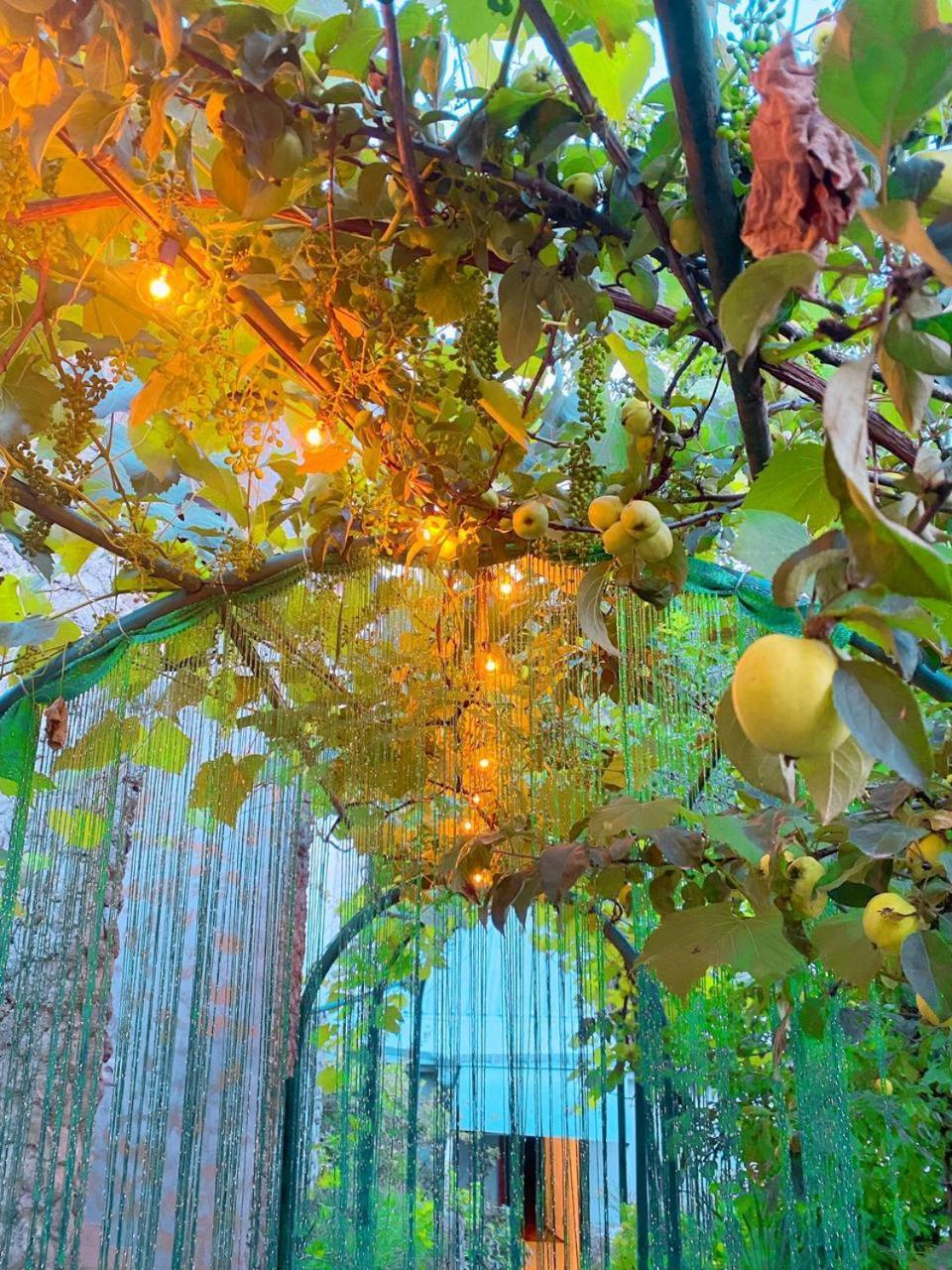 Green Garden Otel Dilican Dış mekan fotoğraf